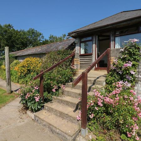 Villa The Bushel Bideford Exterior foto